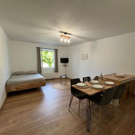"Le Caneton" Studio Hyper Centre Tout Equipee Apartment Sarlat-la-Caneda Bagian luar foto